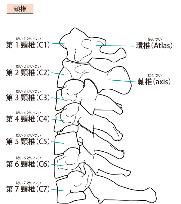 むち打ちへの対処法は?