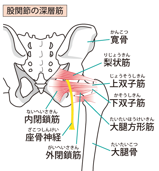 腰を抑える女性の写真