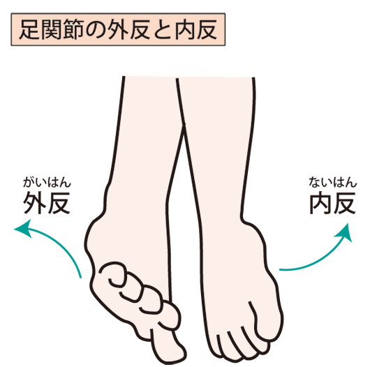 足首イラスト